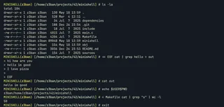 MiniShell terminal session